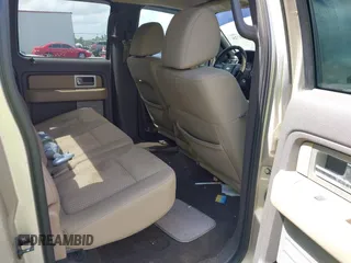 2010 Ford F-150 XL with VIN 1FTEW1C84AFD29603, listed as a IAAI auction lot 41960726 with 260,297 mi miles. Bid and sale history available at carsss.com. Image 8.