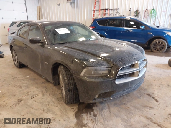 2014 Dodge Charger RT with VIN 2C3CDXDT5EH248671, listed as a IAAI auction lot 41430969 with 173,167 mi miles. Bid and sale history available at carsss.com. Image 1.