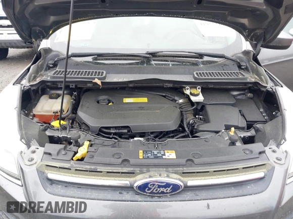 2014 Ford Escape SE with VIN 1FMCU0GX4EUB37846, listed as a IAAI auction lot 41913346 with 131,982 mi miles. Bid and sale history available at carsss.com. Image 10.