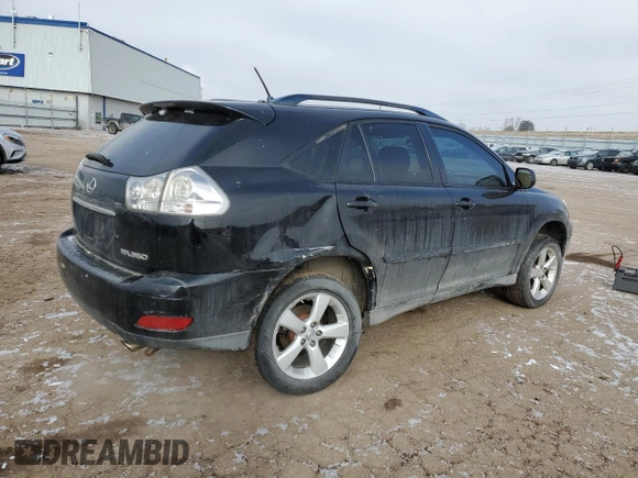 2007 Lexus RX 350 with VIN 2T2HK31U37C044022, listed as a Copart auction lot 46143145 with 253,496 mi miles and Salvage Title. Bid and sale history available at DreamBid. Image 3.