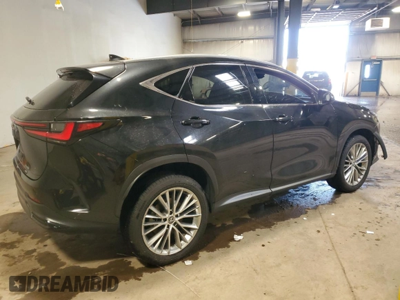 2024 Lexus NX 350 Luxury with VIN 2T2HGCEZ7RC034667, listed as a Copart auction lot 59150195 with 16,675 mi miles and Salvage title. Bid and sale history available at DreamBid. Image 3.