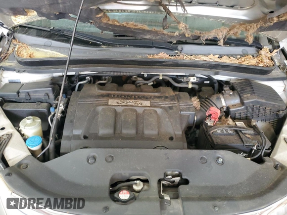 2008 Honda Odyssey Touring с VIN 5FNRL38868B029543, выставлен на аукционе Copart как лот 54190555 с пробегом 168 648 миль миль и Списание • Salvage title. История ставок и продаж доступна на DreamBid. Изображение 12.