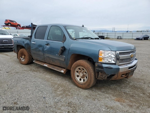 2010 Chevrolet Silverado 1500 LS with VIN 3GCRKREA6AG124231, listed as a Copart auction lot 49650935 with 172,209 mi miles and Salvage Title. Bid and sale history available at carsss.com. Image 4.