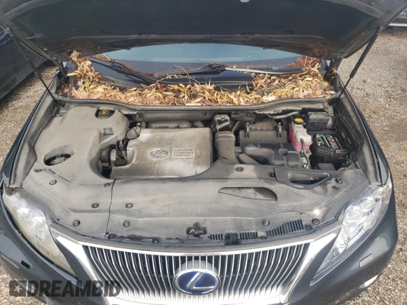 2010 Lexus RX 450h with VIN JTJBC1BA0A2016262, listed as a Copart auction lot 62819874 with 73,363 mi miles and Clean Title. Bid and sale history available at DreamBid. Image 12.