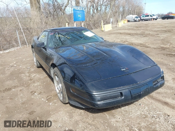1995 Chevrolet Corvette z VIN 1G1YY22P1S5118252, wystawiony jako IAAI lot #41816716 z przebiegiem 143 210 mil mil oraz . Historia ofert i sprzedaży dostępna na DreamBid. Obrazek 1.