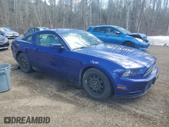 2014 Ford Mustang V6 with VIN 1ZVBP8AM9E5317478, listed as a Copart auction lot 53539755 with 305,642 mi miles and Salvage Title. Bid and sale history available at carsss.com. Image 4.