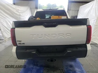 2025 Toyota Tundra SR with VIN 5TFKB5DB6SX281646, listed as a Copart auction lot 58299855 with Not provided miles and Salvage title. Bid and sale history available at DreamBid. Image 6.