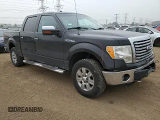 2010 Ford F-150 XL with VIN 1FTEW1E84AFD14774, listed as a Copart auction lot 60530435 with 150,299 mi miles and Salvage title. Bid and sale history available at DreamBid. Image 4.