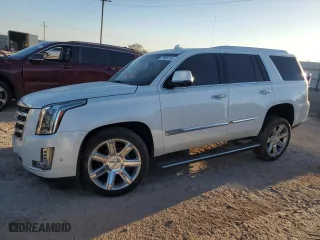 2018 Cadillac Escalade Premium Luxury with VIN 1GYS3CKJ9JR225077, listed as a Copart auction lot 79563714 with 0 mi miles and Salvage Title. Bid and sale history available at carsss.com. Image 1.