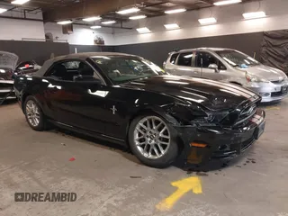 2014 Ford Mustang V6 with VIN 1ZVBP8EMXE5202558, listed as a IAAI auction lot 42524219 with 8,955 mi miles and . Bid and sale history available at DreamBid. Image 1.