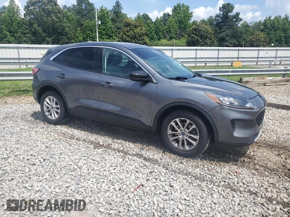 2022 Ford Escape SE with VIN 1FMCU0G66NUA46634, listed as a Copart auction lot 59617465 with 81,573 mi miles and Clean title. Bid and sale history available at DreamBid. Image 4.