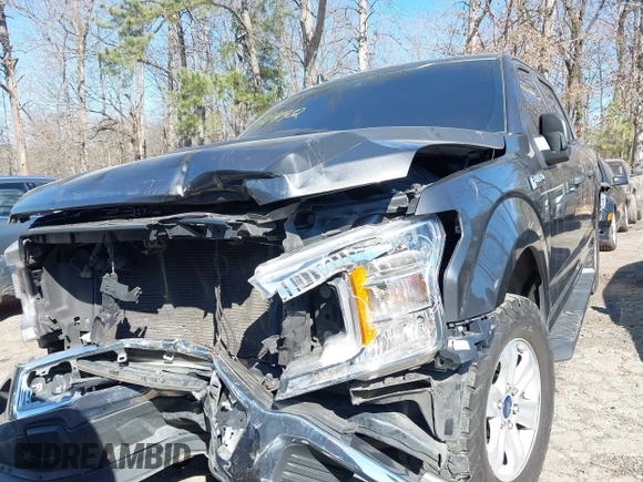2019 Ford F-150 XL with VIN 1FTEW1C50KFB20429, listed as a IAAI auction lot 41714932 with 134,876 mi miles and . Bid and sale history available at DreamBid. Image 12.