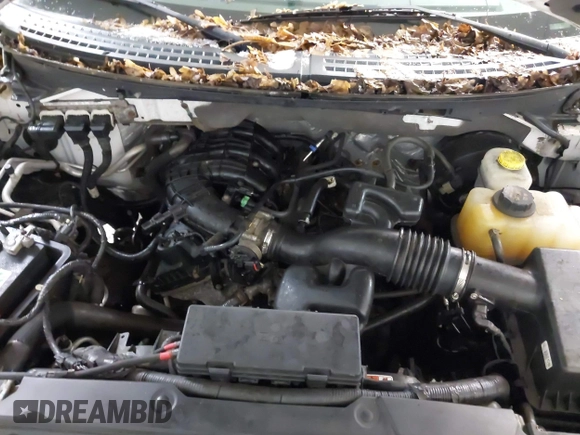 2014 Ford F-150 XL with VIN 1FTEX1CM3EFB15654, listed as a IAAI auction lot 41599447 with 148,481 mi miles and . Bid and sale history available at DreamBid. Image 10.
