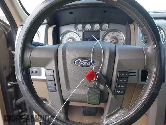 2009 Ford F-150 XL with VIN 1FTPW14V39FA67906, listed as a IAAI auction lot 42010990 with 203,752 mi miles. Bid and sale history available at carsss.com. Image 11.