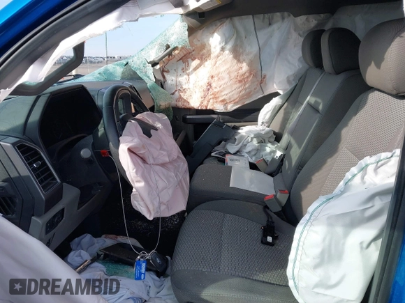 2019 Ford F-150 XL with VIN 1FTEW1E42KKE62265, listed as a IAAI auction lot 41477922 with 22,910 mi miles. Bid and sale history available at carsss.com. Image 5.