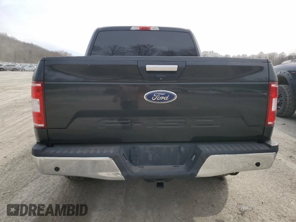 2018 Ford F-150 XL with VIN 1FTEW1E59JFA28618, listed as a Copart auction lot 49888255 with 114,630 mi miles and Salvage Title. Bid and sale history available at carsss.com. Image 6.