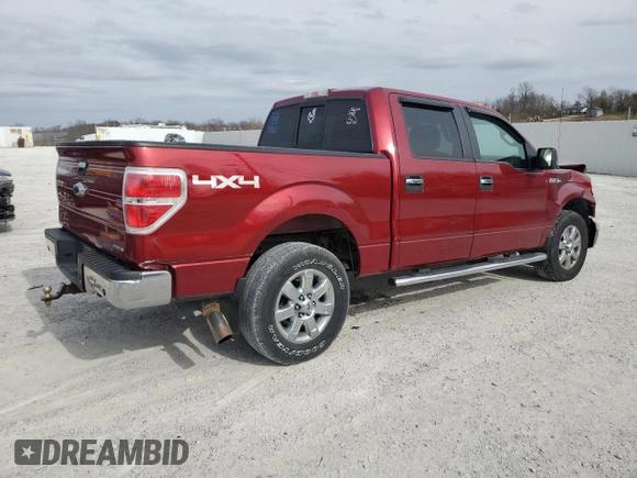 2013 Ford F-150 XL with VIN 1FTFW1EF5DFA72956, listed as a Copart auction lot 49891245 with 142,672 mi miles and Salvage Title. Bid and sale history available at DreamBid. Image 3.