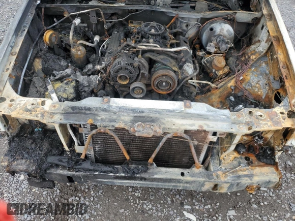 1998 Jeep Grand Cherokee Limited z VIN 1J4GZ88ZXWC255195, wystawiony jako Copart lot #55817705 z przebiegiem Nie podano mil oraz Nie do naprawy • Non repairable. Historia ofert i sprzedaży dostępna na DreamBid. Obrazek 12.