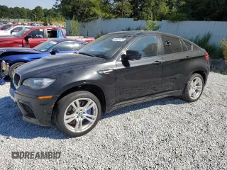 2013 BMW X6 M with VIN 5YMGZ0C53DLL30139, listed as a Copart auction lot 66731474 with 166,637 mi miles and Clean Title. Bid and sale history available at carsss.com. Image 1.