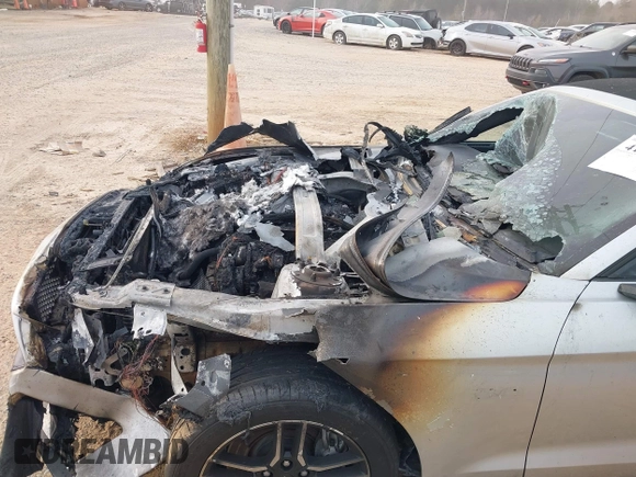 2019 Ford Mustang GT Premium with VIN 1FATP8FF0K5126017, listed as a IAAI auction lot 41783559 with Not Provided miles. Bid and sale history available at carsss.com. Image 6.