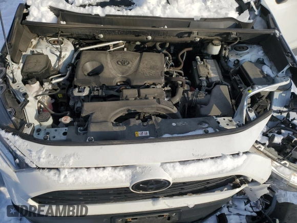 2019 Toyota RAV4 XLE Premium with VIN 2T3A1RFV6KW045015, listed as a Copart auction lot 87649145 with 48,311 mi miles and Salvage Title. Bid and sale history available at carsss.com. Image 12.