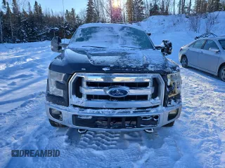 2015 Ford F-150 XLT with VIN 1FTEW1E83FFC62819, listed as a Copart auction lot 88493345 with 295,867 mi miles and Salvage Title. Bid and sale history available at DreamBid. Image 5.