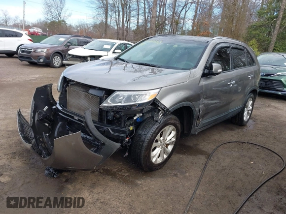 2014 Kia Sorento EX with VIN 5XYKUDA73EG468614, listed as a IAAI auction lot 41721133 with 114,297 mi miles. Bid and sale history available at carsss.com. Image 17.