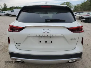 2019 Infiniti QX50 Essential with VIN 3PCAJ5M38KF121754, listed as a Copart auction lot 53316185 with 50,966 mi miles and Salvage title. Bid and sale history available at DreamBid. Image 6.