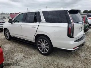 2022 Cadillac Escalade Premium Luxury Platinum with VIN 1GYS4DKL3NR119329, listed as a Copart auction lot 73692364 with 0 mi miles and Salvage Title. Bid and sale history available at carsss.com. Image 2.