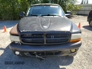 2001 Dodge Dakota Sport z VIN 1B7GG2AN81S113605, wystawiony jako Copart lot #58990065 z przebiegiem 243 919 mil mil oraz Tytuł czysty. Historia ofert i sprzedaży dostępna na DreamBid. Obrazek 5.