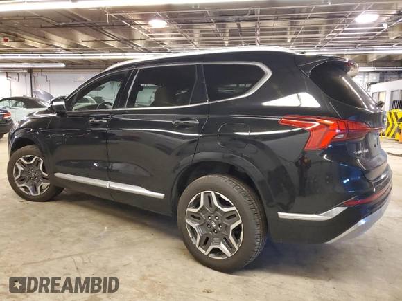 2021 Hyundai Santa Fe Calligraphy with VIN 5NMS5DAL5MH323833, listed as a Copart auction lot 41337795 with 54,484 mi miles and Salvage title. Bid and sale history available at DreamBid. Image 2.