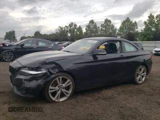 2015 BMW 2 Series 228i xDrive with VIN WBA1F7C56FVX96295, listed as a Copart auction lot 65166865 with 108,581 mi miles and Salvage title. Bid and sale history available at DreamBid. Image 1.