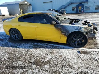 2017 Dodge Charger R/T with VIN 2C3CDXCT7HH623143, listed as a Copart auction lot 50664215 with Not Provided miles and Non Repairable. Bid and sale history available at DreamBid. Image 4.