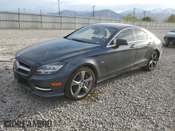 2012 Mercedes-Benz CLS 550 with VIN WDDLJ9BB6CA020898, listed as a Copart auction lot 54070485 with 125,419 mi miles and Salvage Title. Bid and sale history available at DreamBid. Image 1.