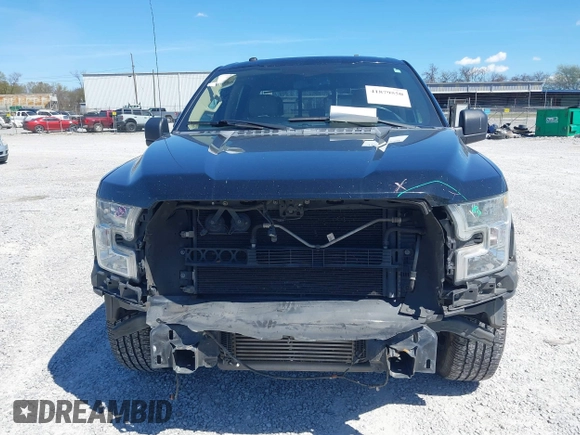 2016 Ford F-150 XL with VIN 1FTEW1CP9GKD19382, listed as a IAAI auction lot 41879550 with 241,480 mi miles and . Bid and sale history available at carsss.com. Image 12.