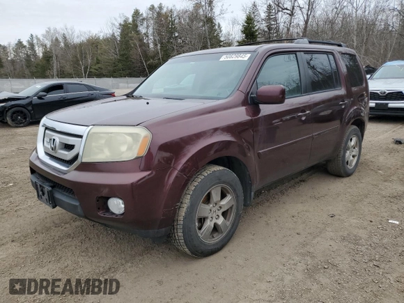 2011 Honda Pilot EX-L with VIN 5FNYF4H57BB501674, listed as a Copart auction lot 50829845 with 0 mi miles and Clean Title. Bid and sale history available at carsss.com. Image 1.