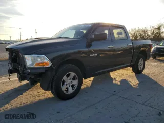 2009 Dodge Ram 1500 TRX with VIN 1D3HB13P89S796789, listed as a Copart auction lot 85600254 with 290,674 mi miles and Salvage Title. Bid and sale history available at carsss.com. Image 1.
