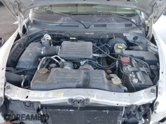 2003 Dodge Dakota SLT with VIN 1D7HL48N13S294573, listed as a IAAI auction lot 41291127 with 227,355 mi miles. Bid and sale history available at carsss.com. Image 10.