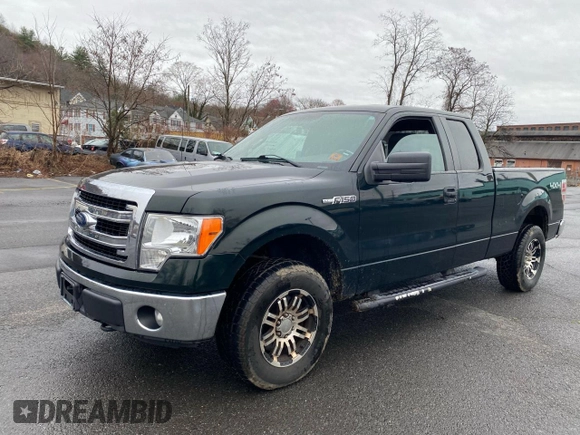 2013 Ford F-150 XL with VIN 1FTFX1EF5DKF06491, listed as a Copart auction lot 53860845 with 265,813 mi miles and Clean Title. Bid and sale history available at carsss.com. Image 2.
