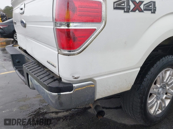 2013 Ford F-150 XL with VIN 1FTFW1EFXDFA99876, listed as a IAAI auction lot 41859370 with 248,683 mi miles and . Bid and sale history available at DreamBid. Image 6.