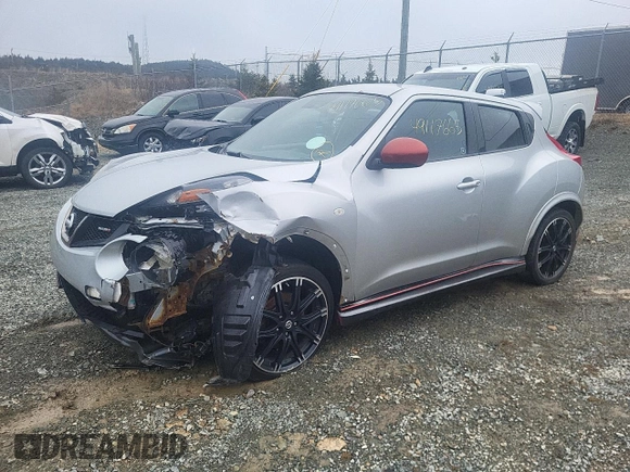 2013 Nissan Juke S with VIN JN8AF5MVXDT219143, listed as a Copart auction lot 49117665 with Not Provided miles and Salvage Title. Bid and sale history available at DreamBid. Image 1.