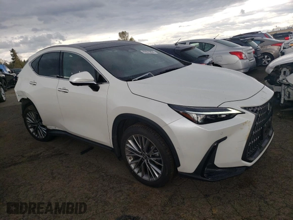 2022 Lexus NX with VIN JTJHKCEZ2N2005490, listed as a Copart auction lot 50344684 with 21,937 mi miles and Salvage Title. Bid and sale history available at carsss.com. Image 4.