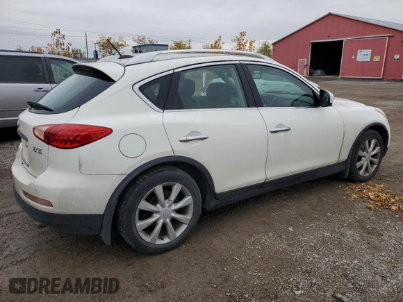 2009 Infiniti EX Journey with VIN JNKAJ09F09M950596, listed as a Copart auction lot 76023074 with 299,188 mi miles and Clean title. Bid and sale history available at DreamBid. Image 3.