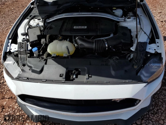 2021 Ford Mustang GT with VIN 1FA6P8CF9M5146397, listed as a Copart auction lot 58664255 with 19,236 mi miles and Salvage title. Bid and sale history available at DreamBid. Image 11.