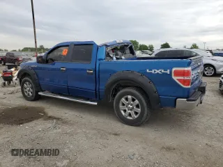 2013 Ford F-150 XL with VIN 1FTFW1EF1DKD22149, listed as a Copart auction lot 58136975 with 202,594 mi miles and Salvage title. Bid and sale history available at DreamBid. Image 2.