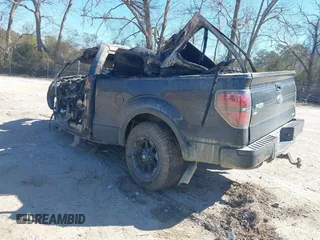 2014 Ford F-150 XL with VIN 1FTFX1CF1EFA39275, listed as a IAAI auction lot 41707491 with Not Provided miles and . Bid and sale history available at DreamBid. Image 3.
