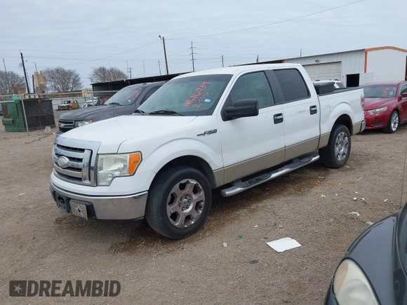 2009 Ford F-150 XL with VIN 1FTPW12V59KB43037, listed as a IAAI auction lot 41616739 with 215,383 mi miles. Bid and sale history available at carsss.com. Image 17.