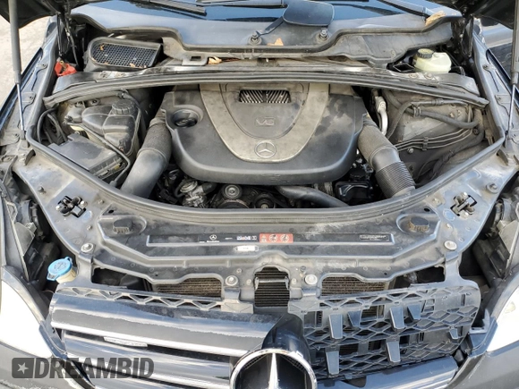 2009 Mercedes-Benz R 3.5L with VIN 4JGCB65E69A091096, listed as a Copart auction lot 86610874 with 178,087 mi miles and Clean Title. Bid and sale history available at DreamBid. Image 12.