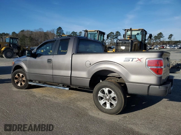 2014 Ford F-150 XL with VIN 1FTEX1EM5EFC03926, listed as a Copart auction lot 45216415 with 145,460 mi miles and Salvage Title. Bid and sale history available at carsss.com. Image 2.