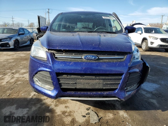2014 Ford Escape SE with VIN 1FMCU9GX6EUD16166, listed as a Copart auction lot 83913634 with 123,624 mi miles and Salvage Title. Bid and sale history available at carsss.com. Image 5.
